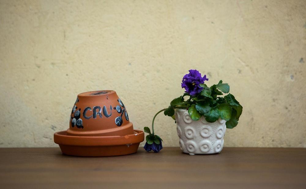 Cru Hotel Tallin